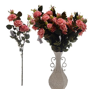 Роза Куст-Кораловая (12 шт.)