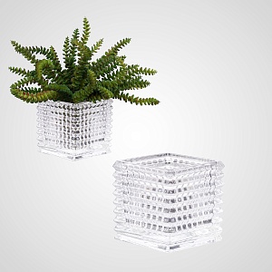 Стеклянная ваза GLASS PLANTERS квадратные кромки 10*10 см